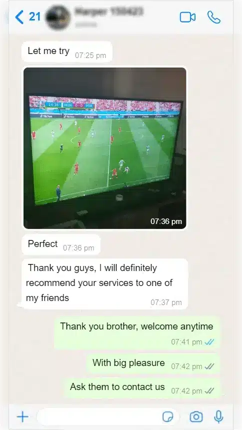 Dynasty IPTV
